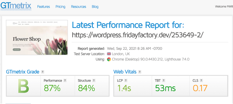 Performance audit without Imagify - Source: GTmetrix