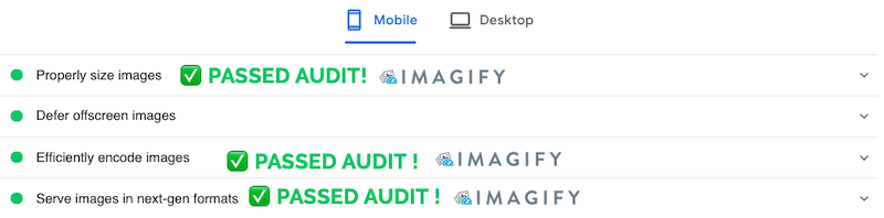 Audit passed with Imagify - Source: PageSpeed Insights