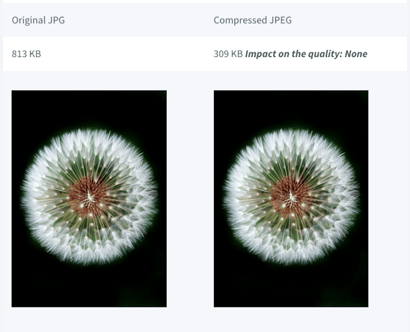 Image quality not altered after compression- Source: Imagify