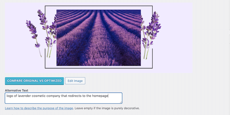 Where to add alt text on WordPress - Source: The WordPress library