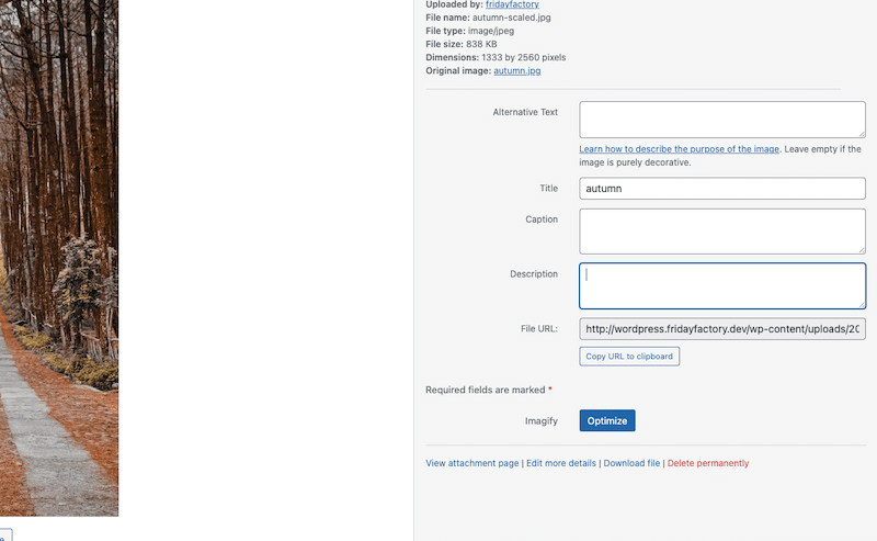 Optimize button from Imagify - Source: Imagify