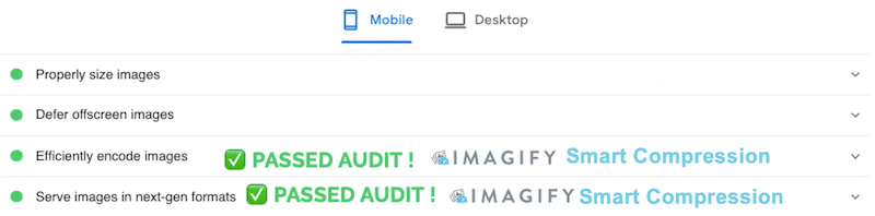 Passed PageSpeed Insights audit - Source: PageSpeed Insights